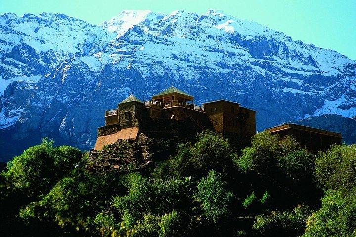 Day Trip Atlas Morocco Berber Experience & Cooking Class From Marrakech