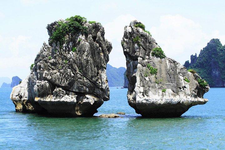 Best Premium Halong Bay Cruise from Halong International Port