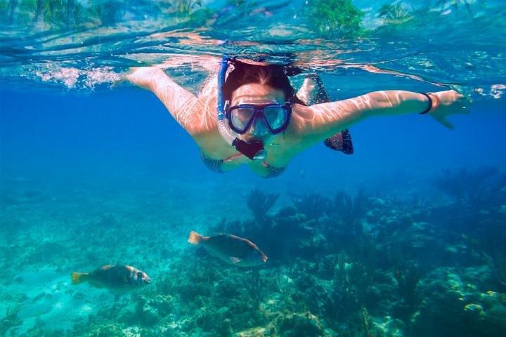 Swim & Fly Day Trip in Cancun with Transportation