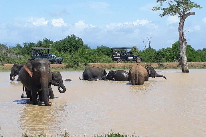 Private 2-Day Trip To Mirissa Beach And Yala From Colombo