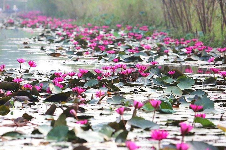 Perfume Pagoda Private Day Tour: Buddhism, Boat trip, Cable Car
