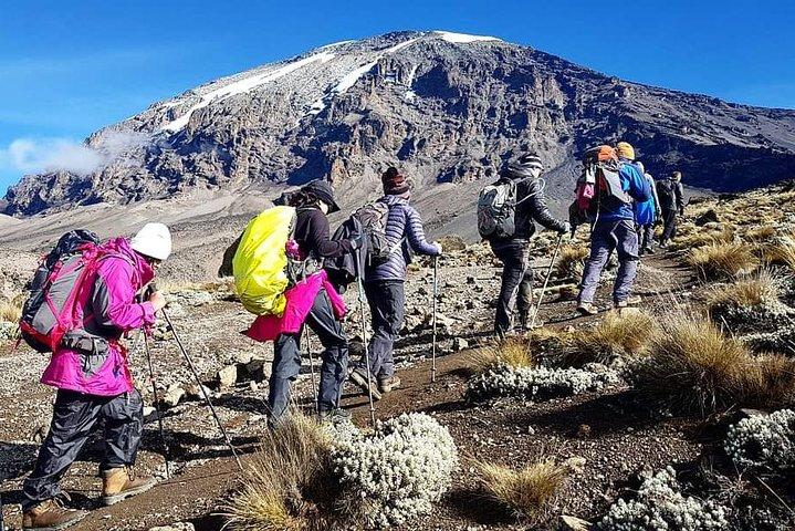 7 Days Mount Kilimanjaro Machame Route