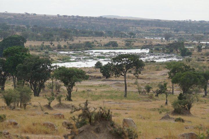 7 Days wildebeest Migration Crossing in Serengeti