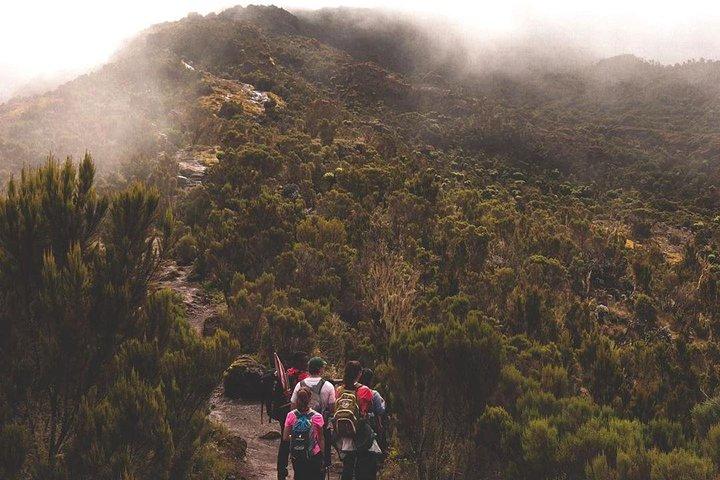 6 Days Mount Kilimanjaro Marangu Route