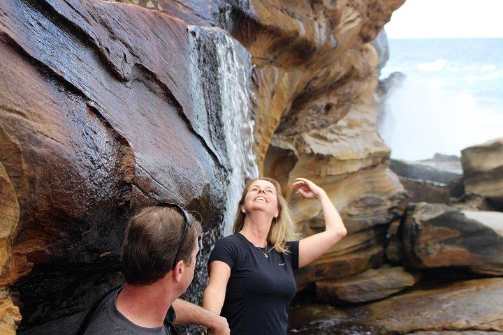 Royal National Park Private Tour