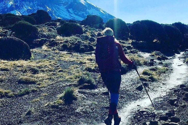 8 Days Kilimanjaro Lemosho route details
