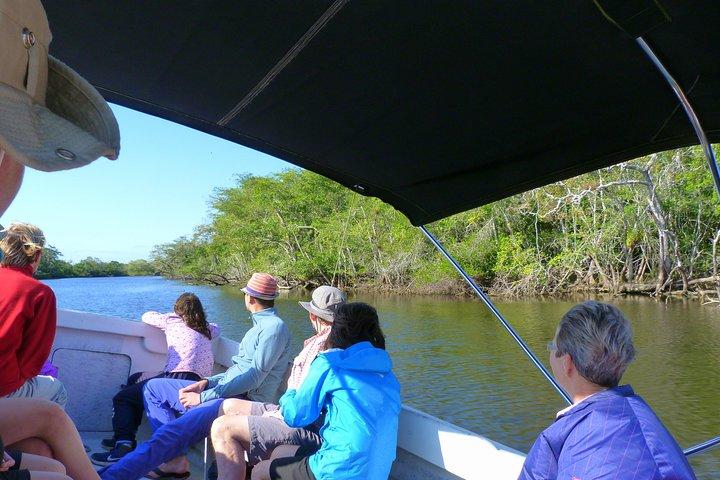 Lamanai Maya Ruin & New River Wildlife Adventure From Belize City