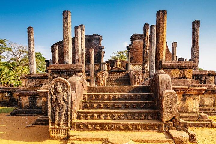 Day Tour from Dambulla to Sigiriya or Pidurangala & Polonnaruwa