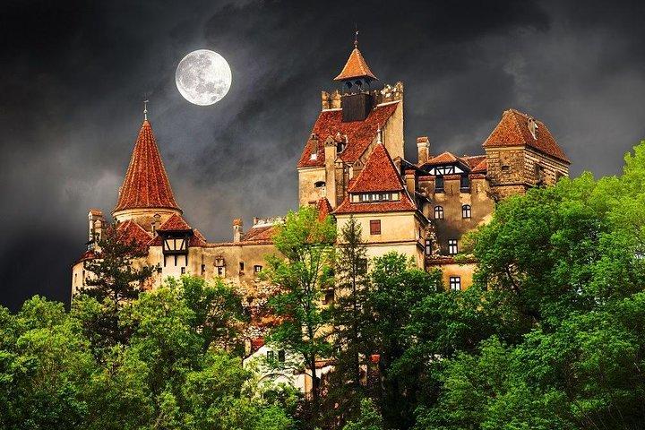 One day trip Bear Sanctuary, Dracula Castle, Rasnov Fortress from Brasov