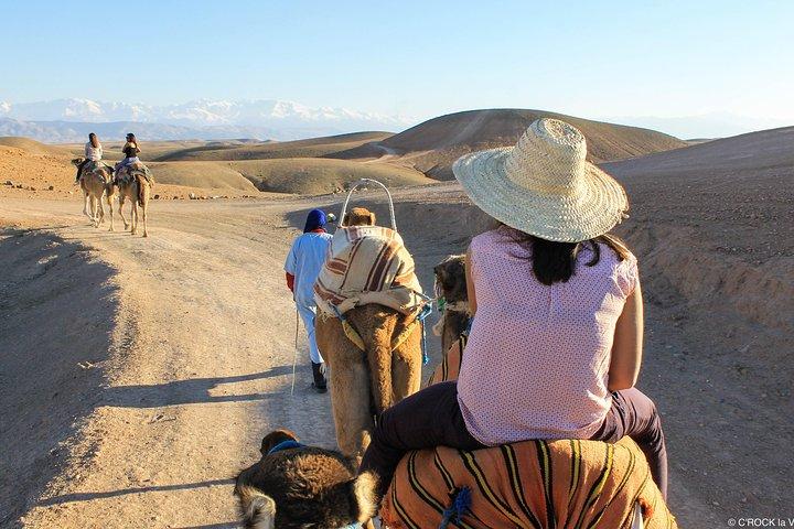 All exclusive, Agafay Desert, Quad Bike, Camel Ride & Dinner Show