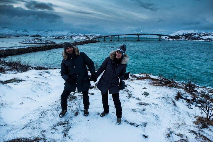 Tromsø: Arctic Fjord Trip to Sommarøy with Scenic Lunch and Photo