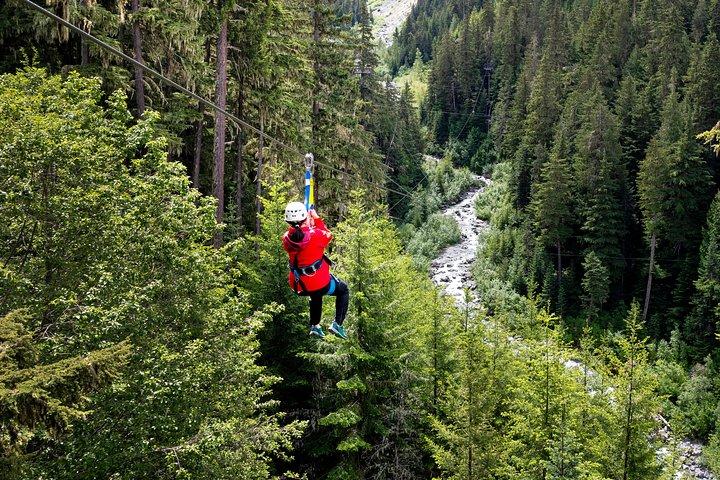 Zipline Adventure in Whistler