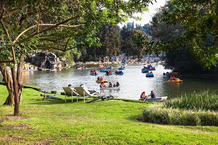 Xochimilco Floating Gardens Tour with a Local: Private & Custom