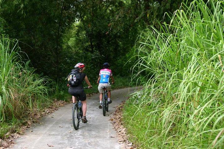 Ho Chi Minh City: Cat Tien National Park Wildlife Adventure 2D1N