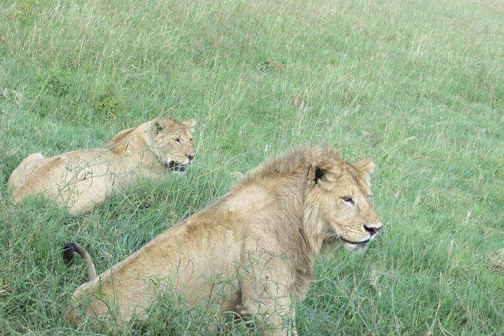3 Days Amzing Safari in Tarangire and Nngorongoro