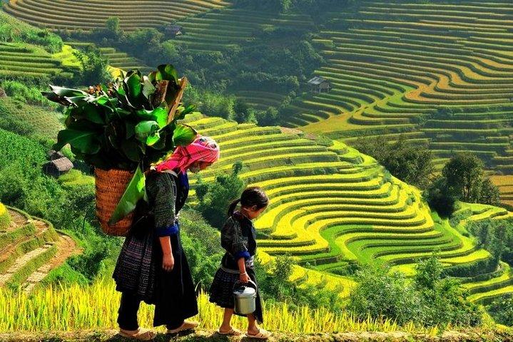 Sapa 2 Days 1 Night From Hanoi - Overnight in Hotel