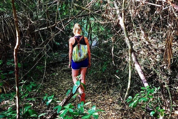 Ho Chi Minh City: Cat Tien National Park Wildlife Adventure 2D1N
