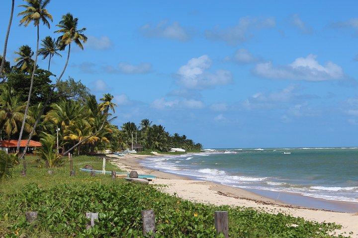 Private Transfer from Recife Airport to Serrambi By RECIFE TRANSLADO