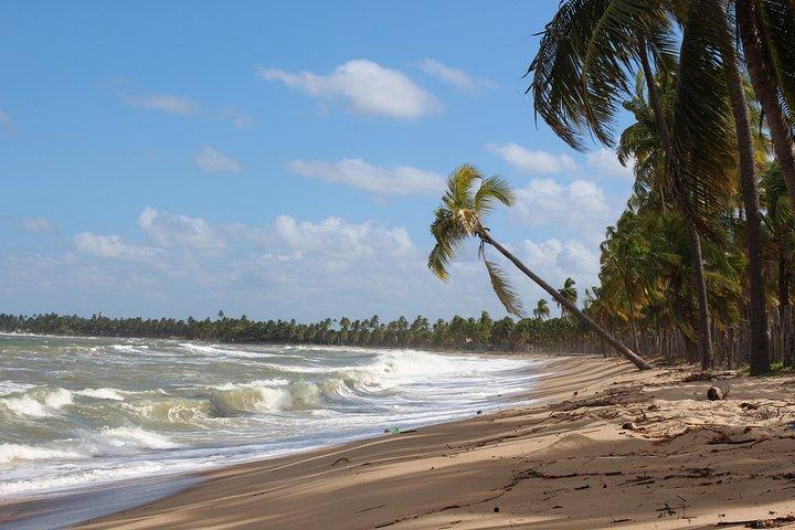 Private Transfer from Recife Airport to Serrambi By RECIFE TRANSLADO