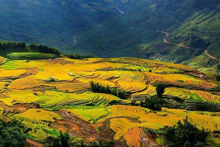 VIP LUXURY Sapa 2D1N -TRANSFER BY LUX LIMOUSINE CAR (Stay at 5* hotel)