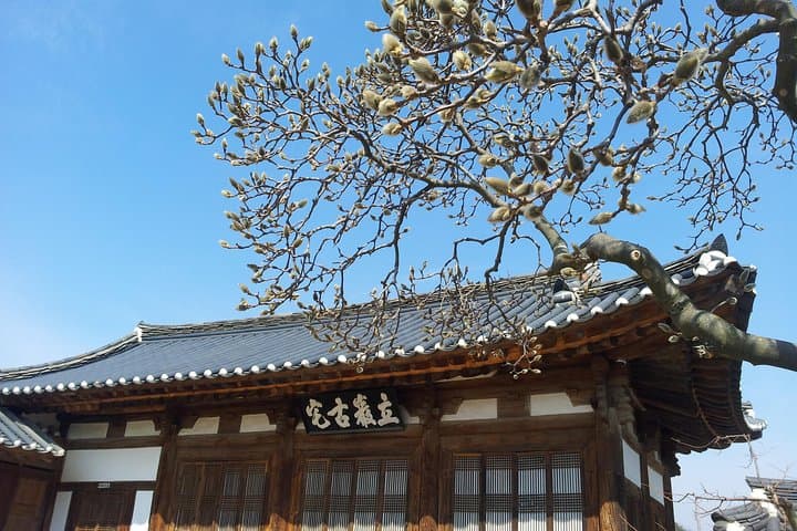 Andong Hahoe Village [UNESCO site] Premium Private Tour from Seoul