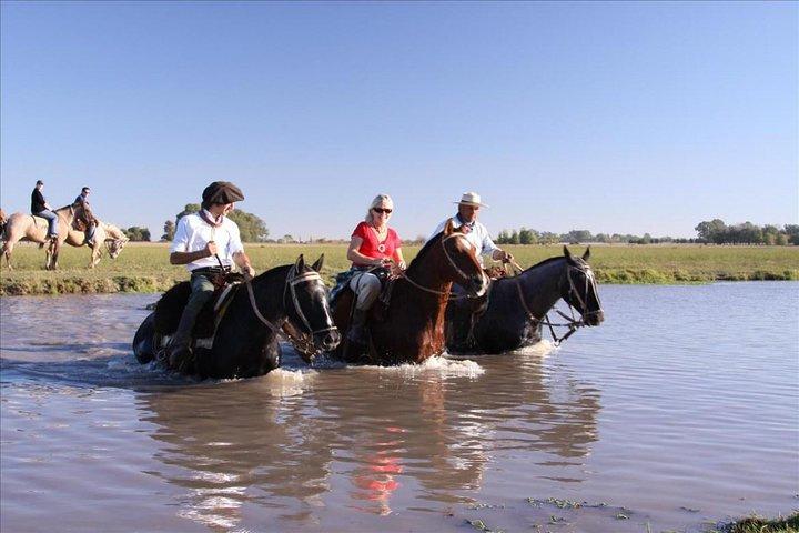 Buenos Aires Super Saver: City Tour, Gaucho Day at a Farm & Tango Dinner-Show