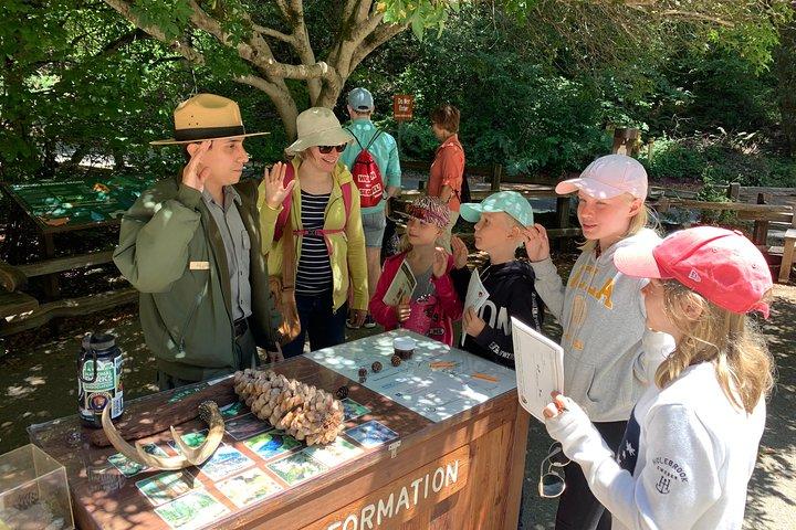 Amazing Muir Woods and Sausalito Tour