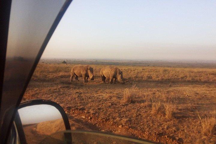 Nairobi 8.a.m Pick Up/mamba Village/elephant Sanctuary/giraffe Centre/nairobi Pk