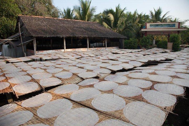 Mekong Delta Tour Full Day Cai Be-Vinh Long