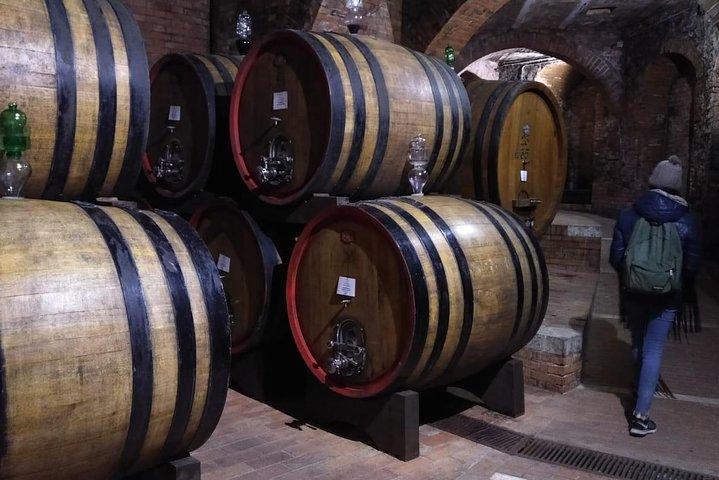 Discover Montepulciano!