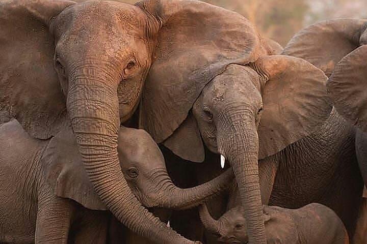 3 Days Serengeti Ngorongoro Crater