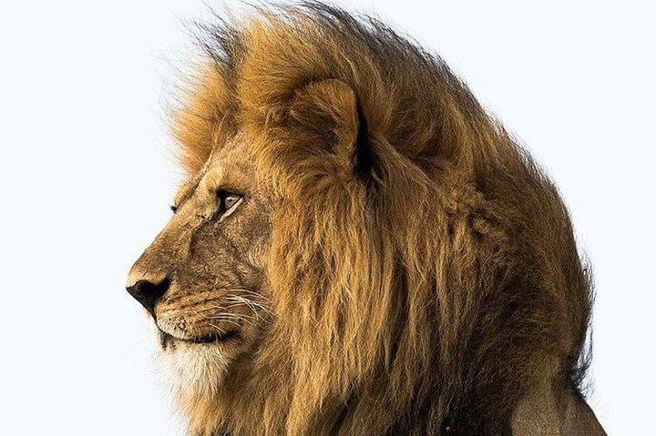 3 Days Serengeti Ngorongoro Crater