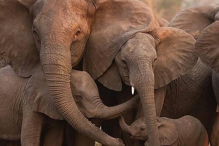 6 Days Tanzania Budget Camping Safari