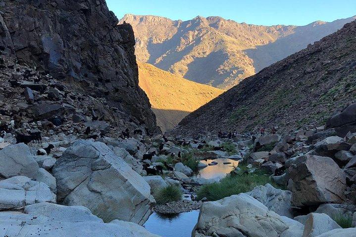 Atlas Mountains Valley Trek - 3 Days