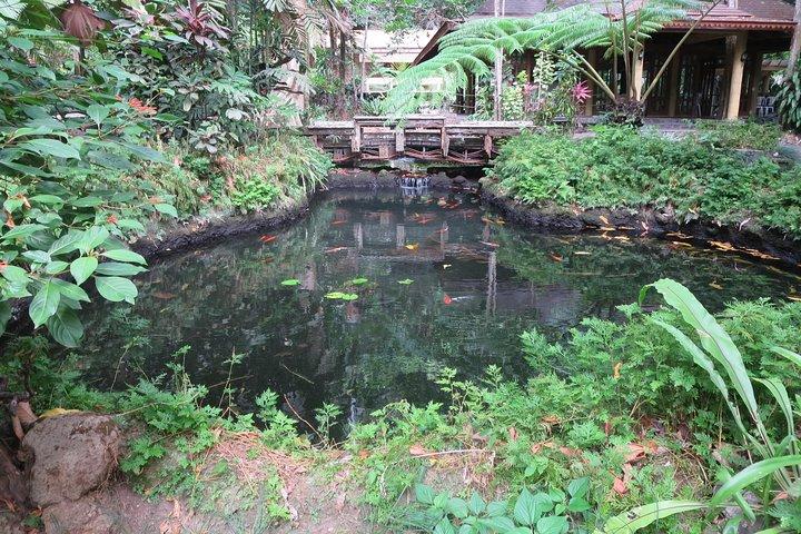 Escape to Enchanting Hidden Valley Springs! with Transfers***