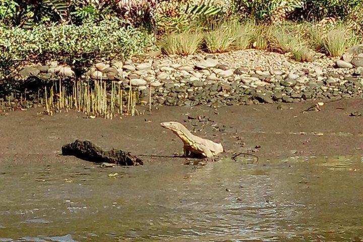 Bandar Highlight, Water Village & Proboscis Monkey Tour (Private)