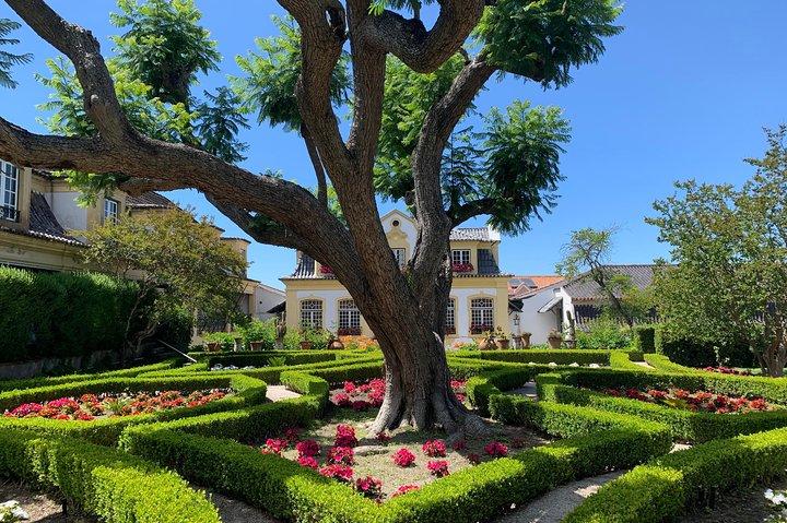 Setúbal Wine Tour with Visit and Tasting at 2 Wineries