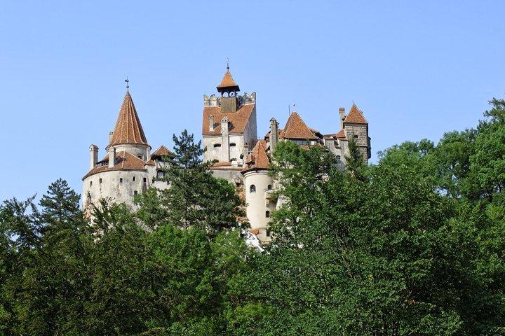 One day tour Dracula Castle. Libearty Bear Sanctuary. from Brasov