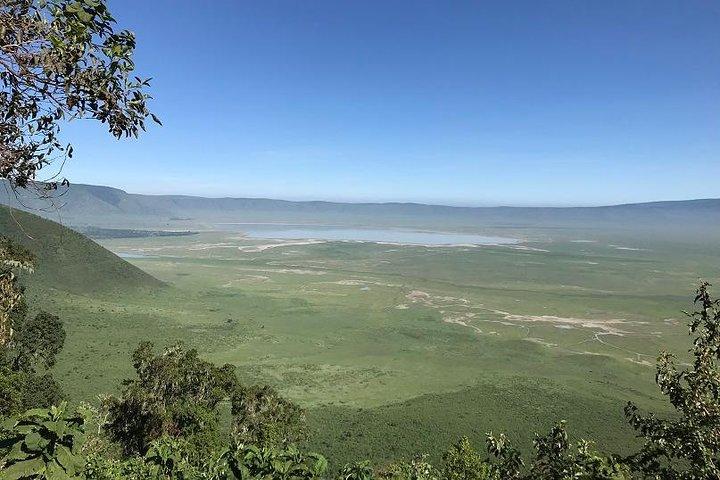 Discover Tanzania through the 3 wild classics
