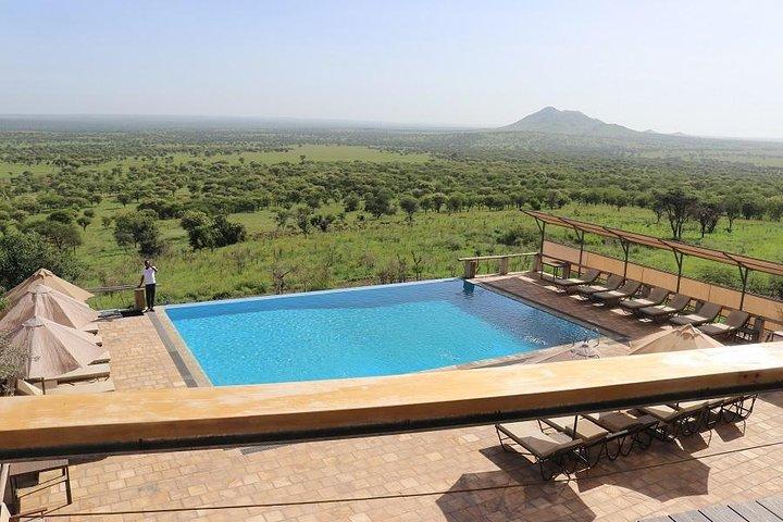 Discover Tanzania through the 3 wild classics