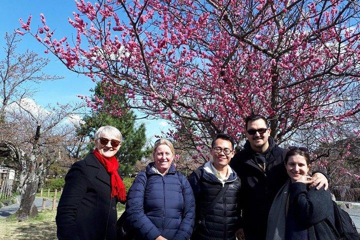Kyoto Arashiyama Bamboo Forest & Scenery Customized Private Tour