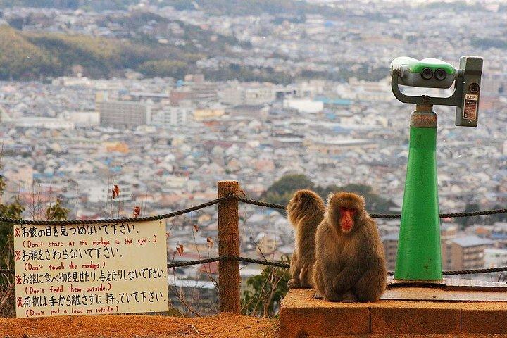 Kyoto Customized Private Tour: See Top Attractions in 1 Day