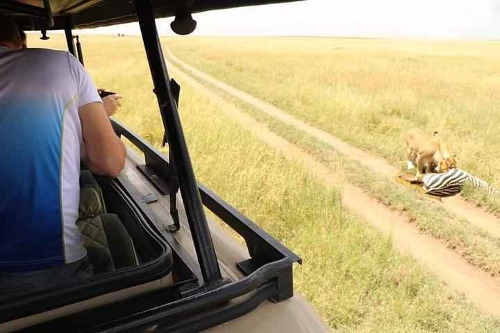 2 Days Joined Group Tarangire and Ngorongoro Crater National Park
