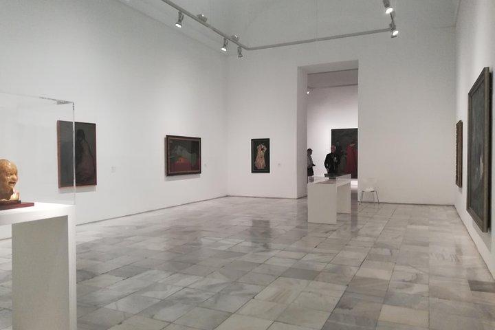 Visita privada en el Museo Reina Sofía con Entrada y Guía