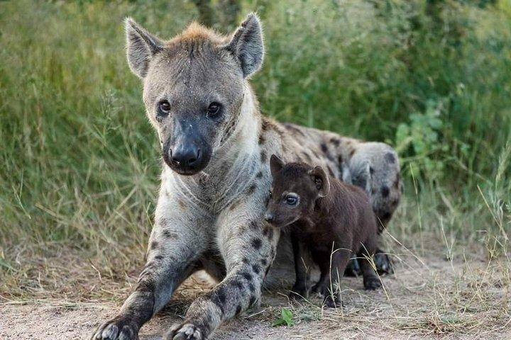 2 Day Group Safari – Midrange Lodge Tarangire & Ngorongoro Crater