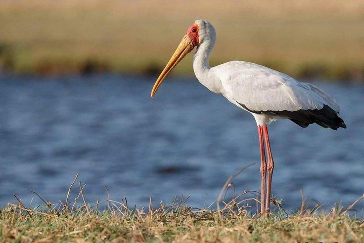 3-Day Tarangire NP, Manyara NP & Ngorongoro Crater