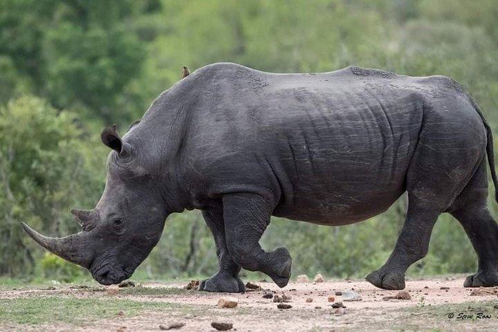 3-Day Tarangire NP, Manyara NP & Ngorongoro Crater