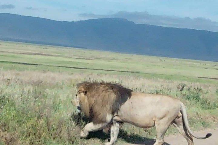 3-Day Tarangire NP, Manyara NP & Ngorongoro Crater