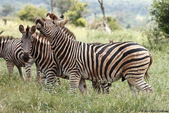 3-Day Tarangire NP, Manyara NP & Ngorongoro Crater