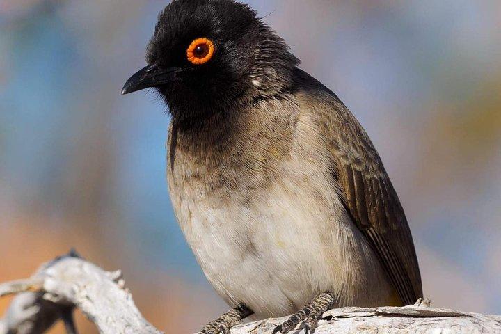 4 Days Group Safari Tour - Book Now